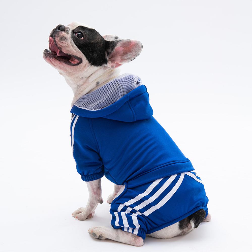 Pawstar Sax Tuta Küçük Irk Köpek Tulumu