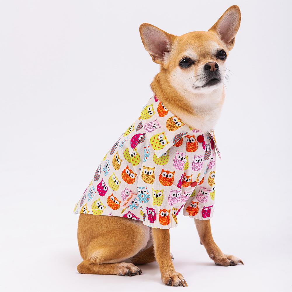 Pawstar Owls Kedi ve Küçük Irk Köpek Gömleği