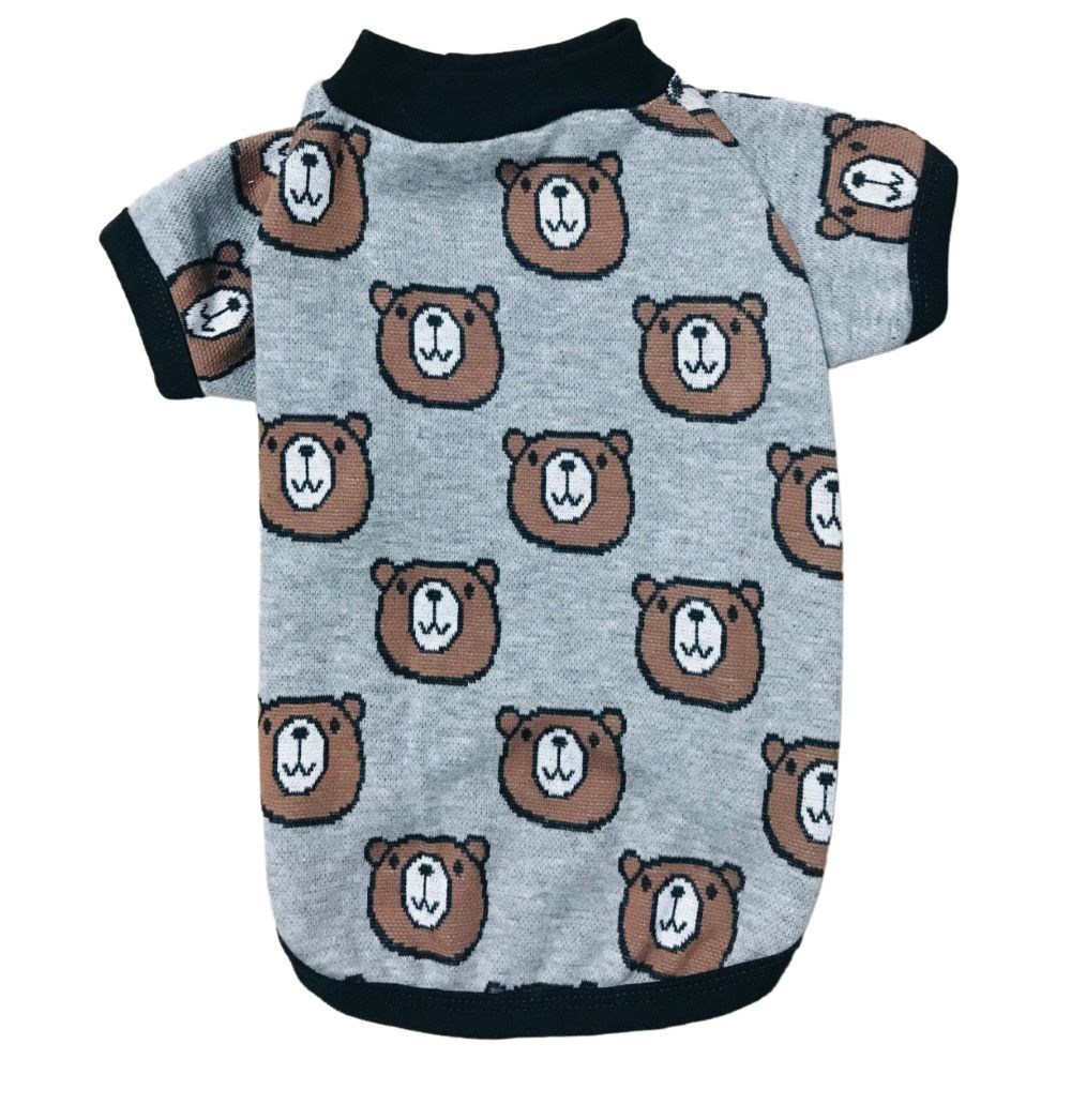 Gedyco Teddy Küçük Köpek Kazağı