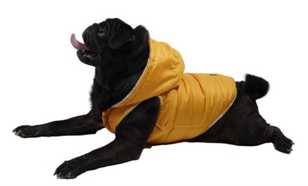 Pawstar Sport Küçük Köpek Yağmurluğu Sarı (9 kg-11 kg arasına uygun bedende)