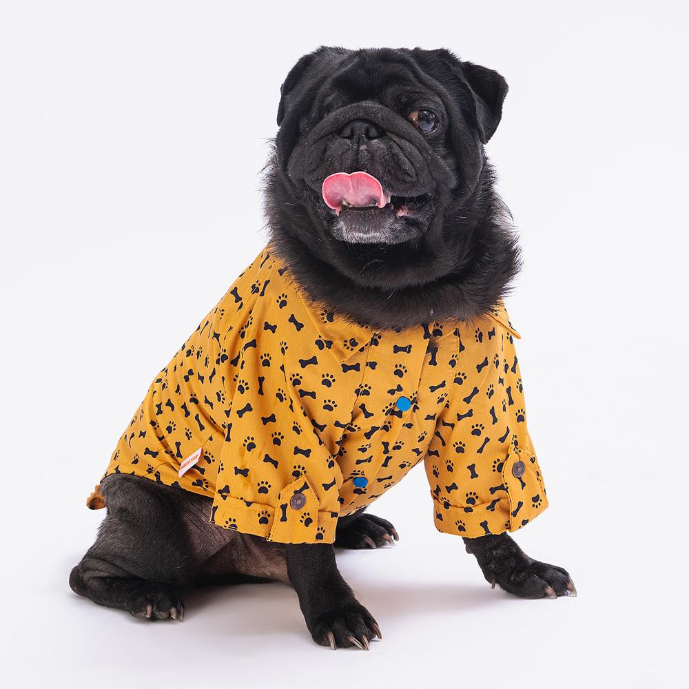 Pawstar Mustard Ossa Kedi ve Küçük Irk Köpek Gömleği