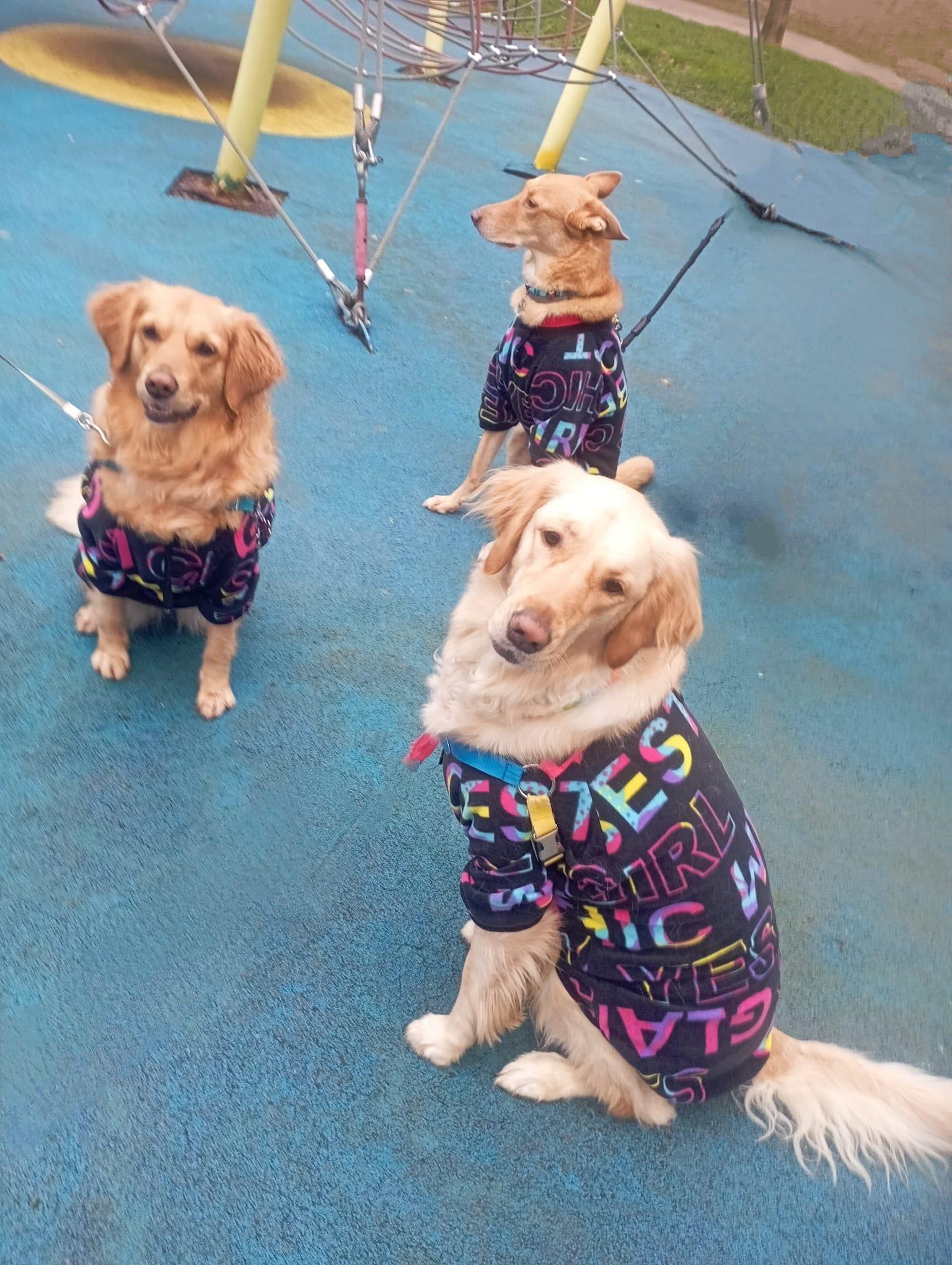 Gedyco Chic Girl Polar Büyük Irk Köpek Sweatshirtü (21-50 kg arası köpeklere uygundur)