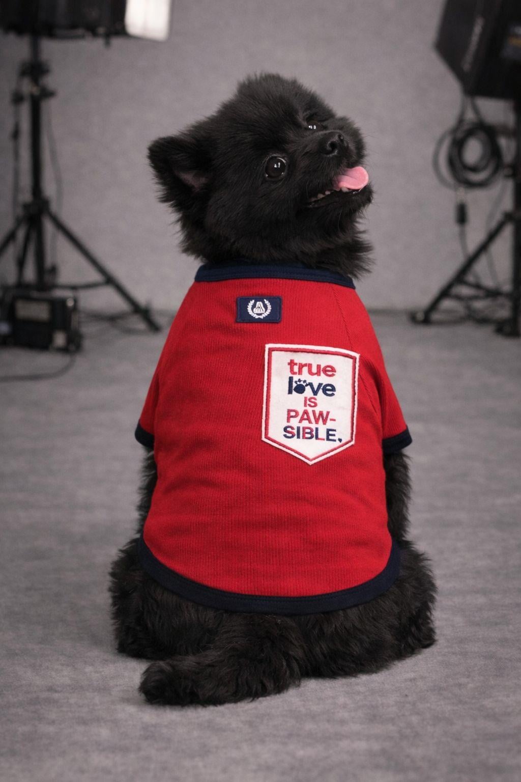 Alphadog True Love Küçük Irk Köpek T-shirtü