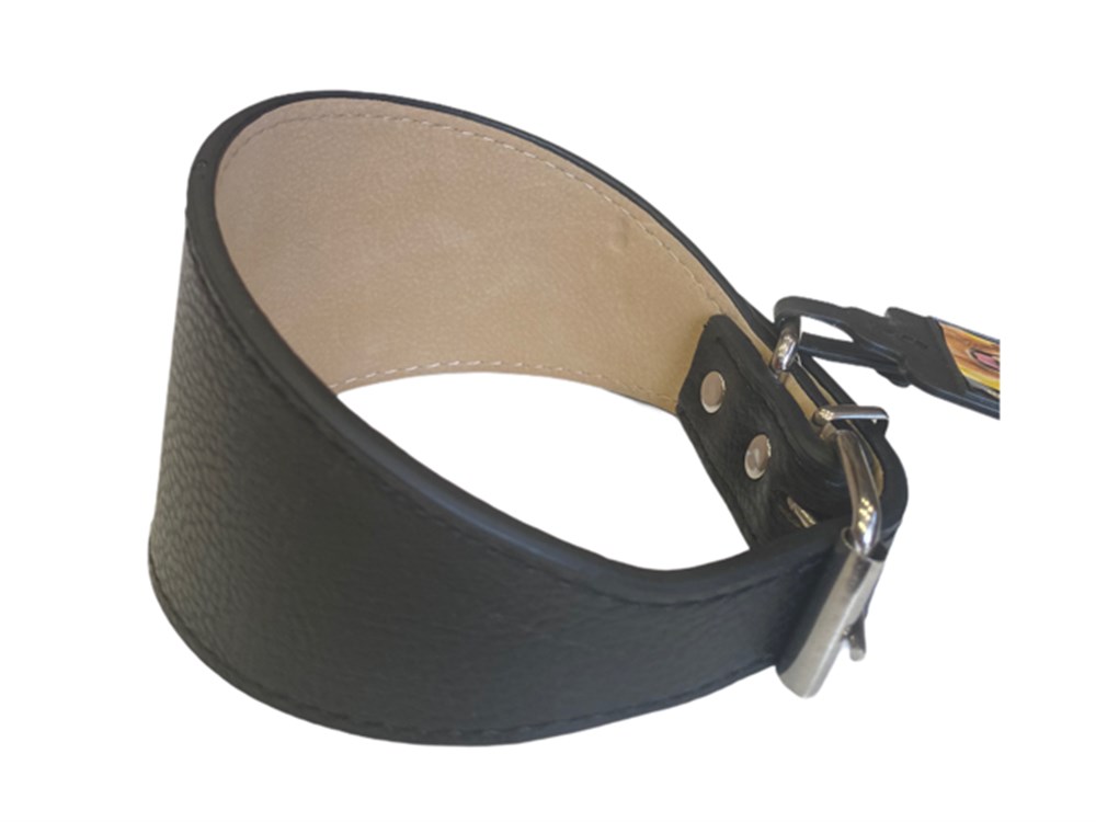 Doglife Deri Boyun Tasması 2,5 cm x 33-45 cm