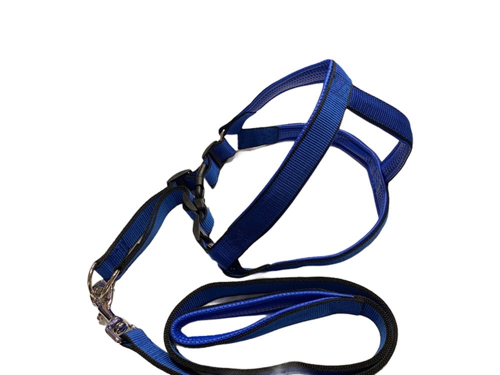 Çok Büyük Boy Saks Mavisi Yumuşak Dokulu Göğüs Tasması ve Gezdirme Kayışı Seti 3,5 cm x 110 cm (80 cm göğüs)