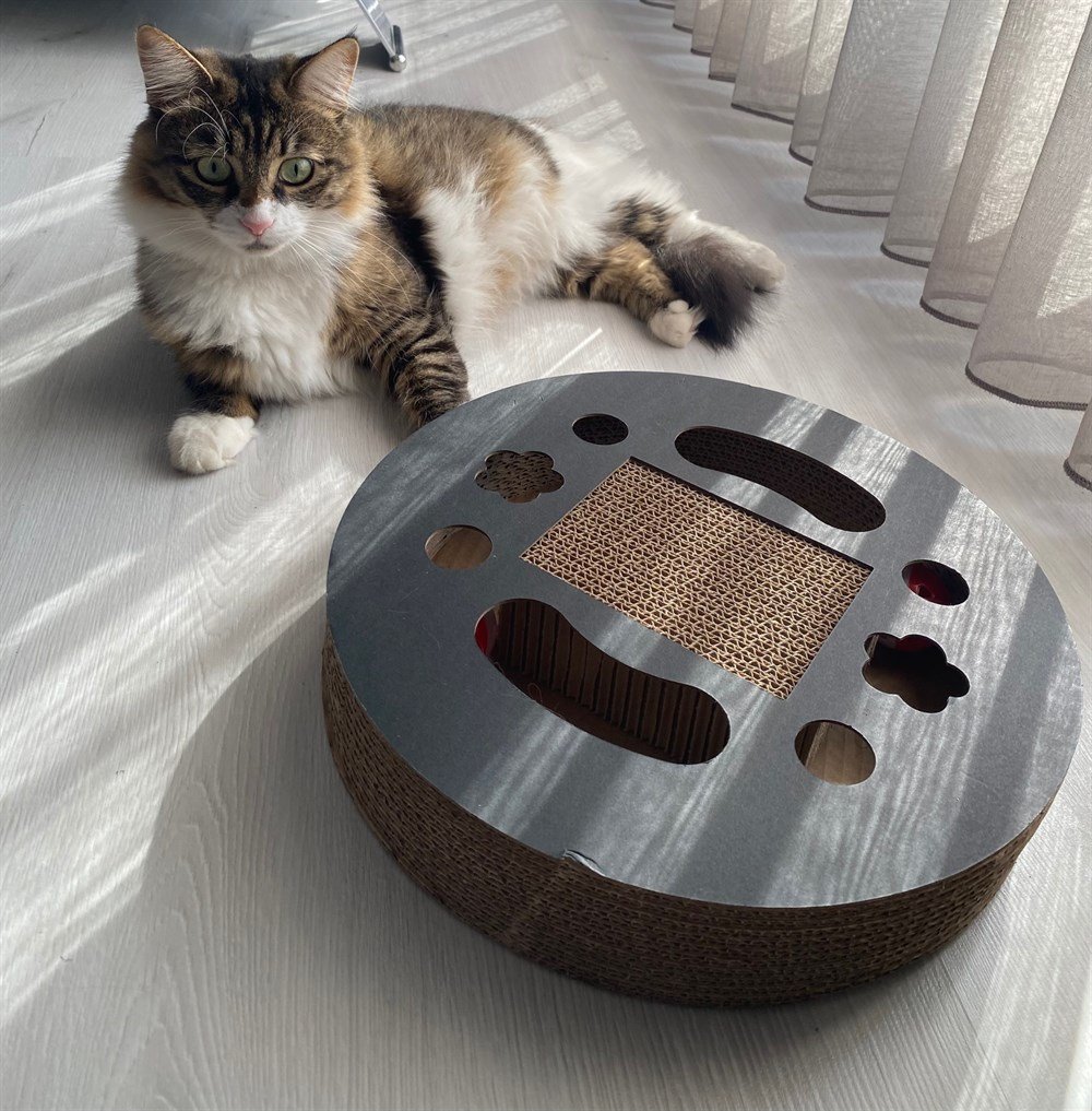 Tırmalamalı Bol Aksiyonlu Kedi Oyuncağı