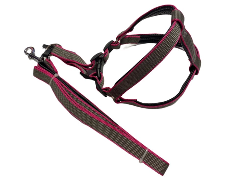 Doglife Küçük Boy Yumuşak Dokulu Göğüs Tasması ve Gezdirme Kayışı Seti 2 cm x 110 cm (45 cm göğüs)