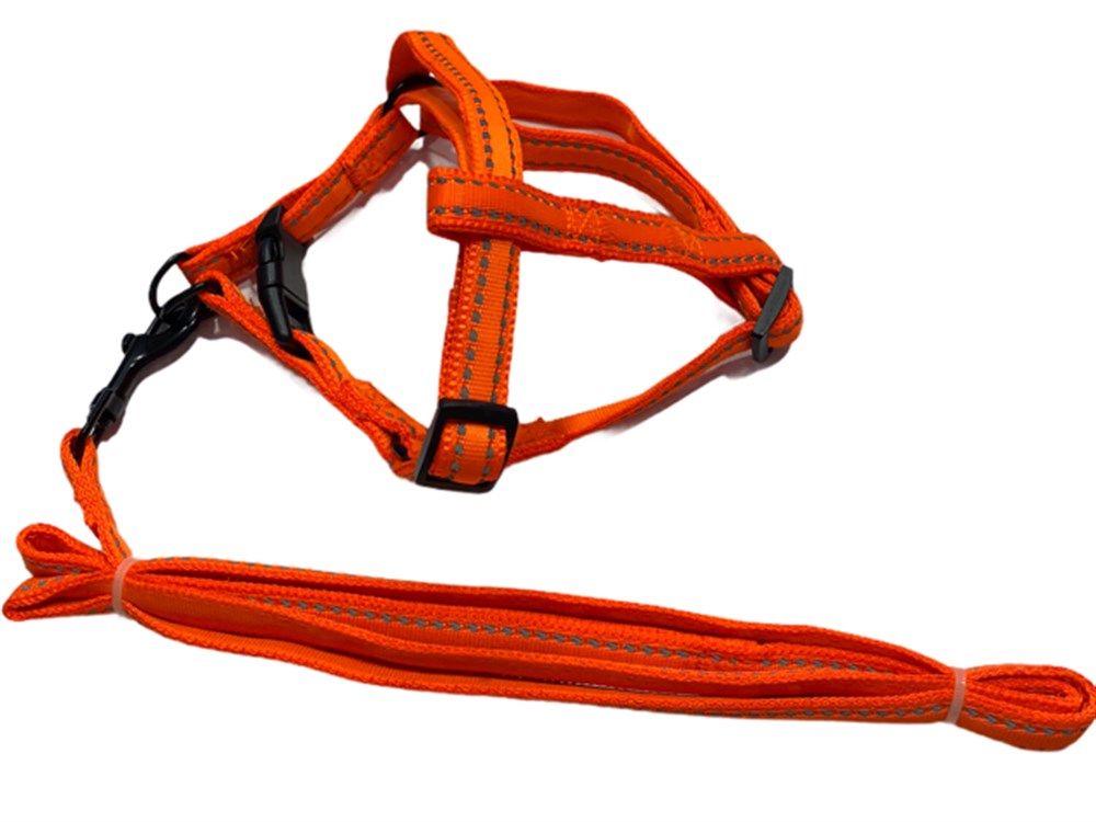 Doglife Neon Turuncu Fosforlu Göğüs ve Gezdirme Tasma Seti (göğüs 35-50 cm)