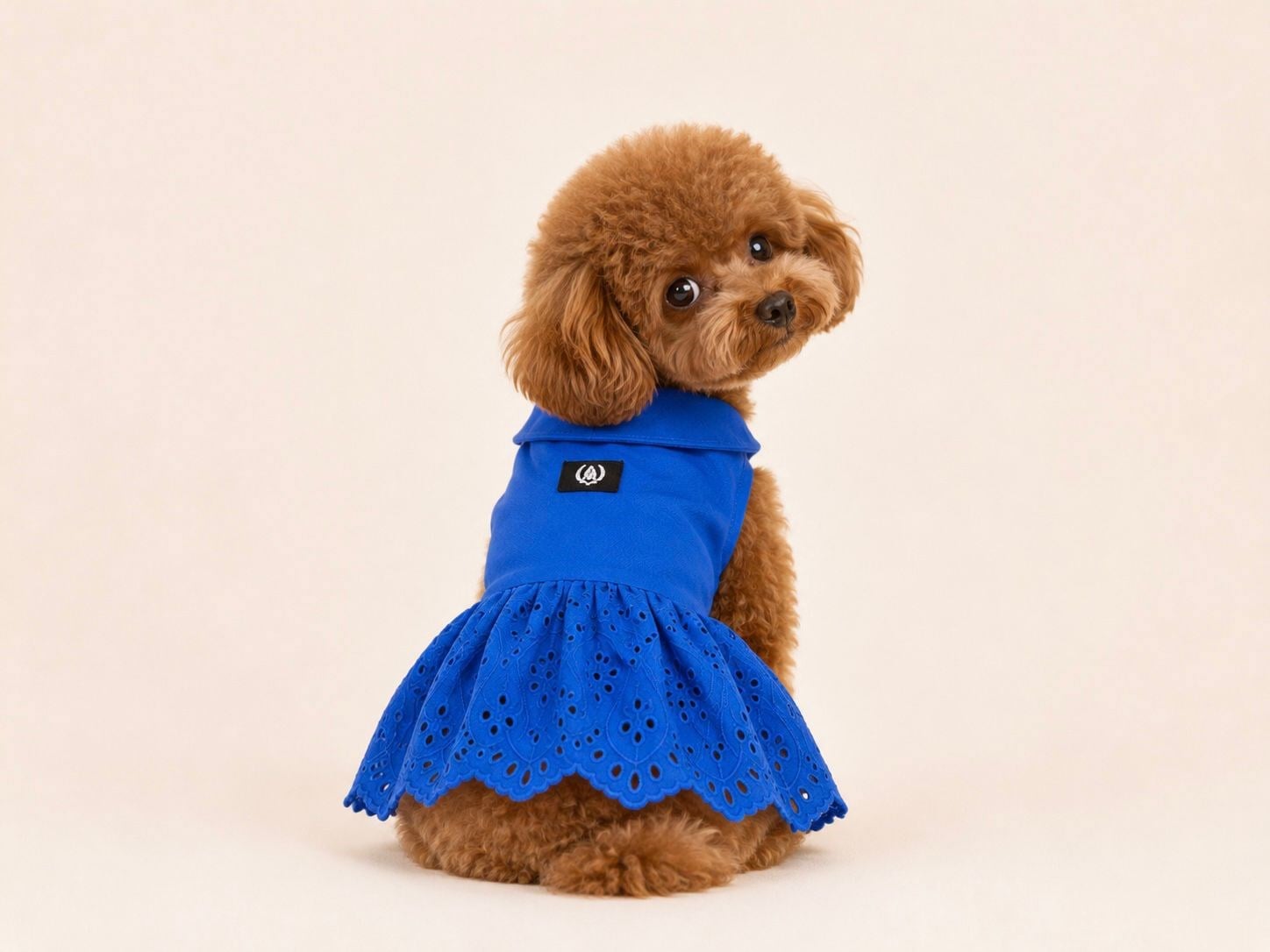 Alphadog Fisto Blue Küçük Irk Köpek Elbisesi