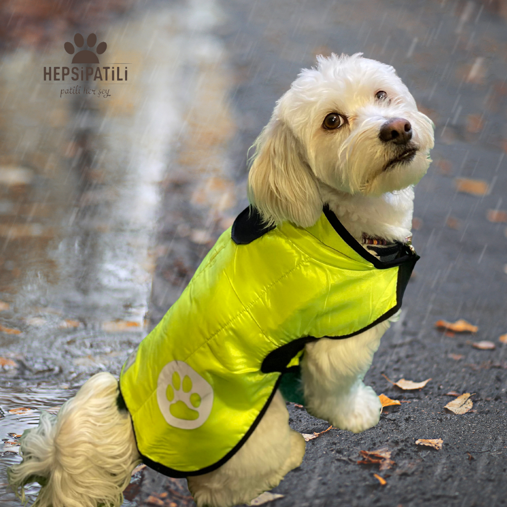 Pratik Giyim Reflektörlü İnce Küçük Köpek Yağmurluğu (4,5 kg-14 kg arasına uygun) Sarı