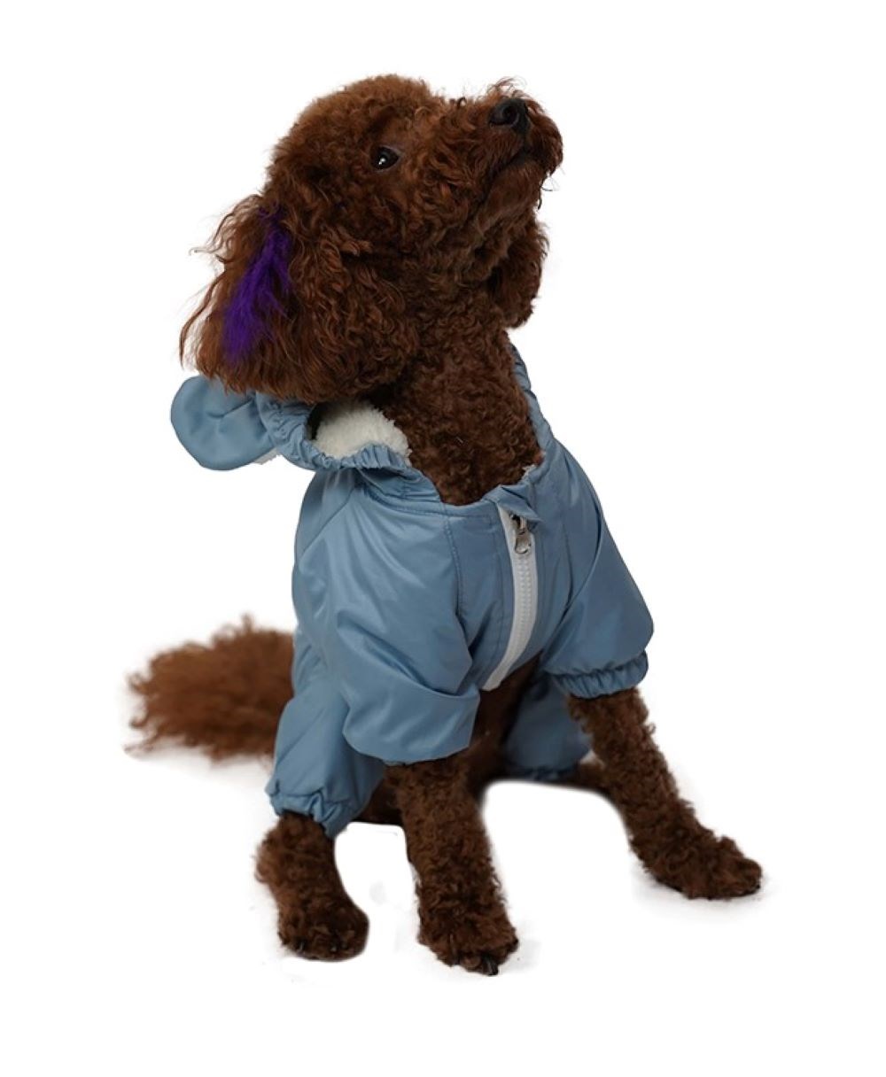 Pawstar Indigo Aplysia Küçük Köpek Pofuduk Tulum Yağmurluk