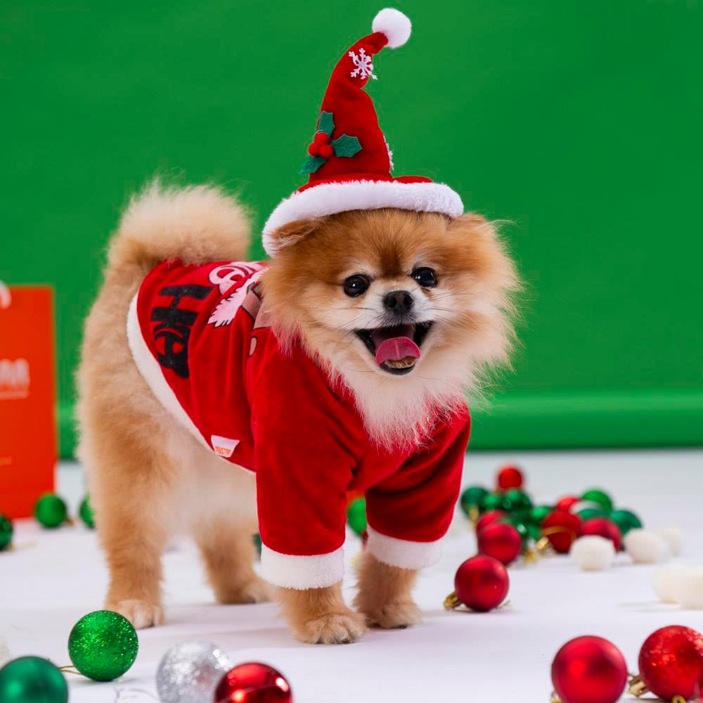 Pawstar HOHOHO Küçük Köpek Yılbaşı Sweatshirtü