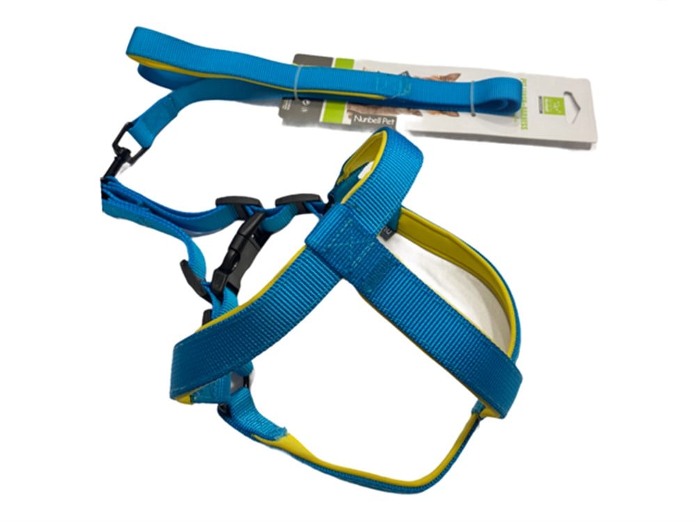 Mavi - Sarı Köpek Tasma Seti 2 cm - 120 cm (45 cm göğüs)