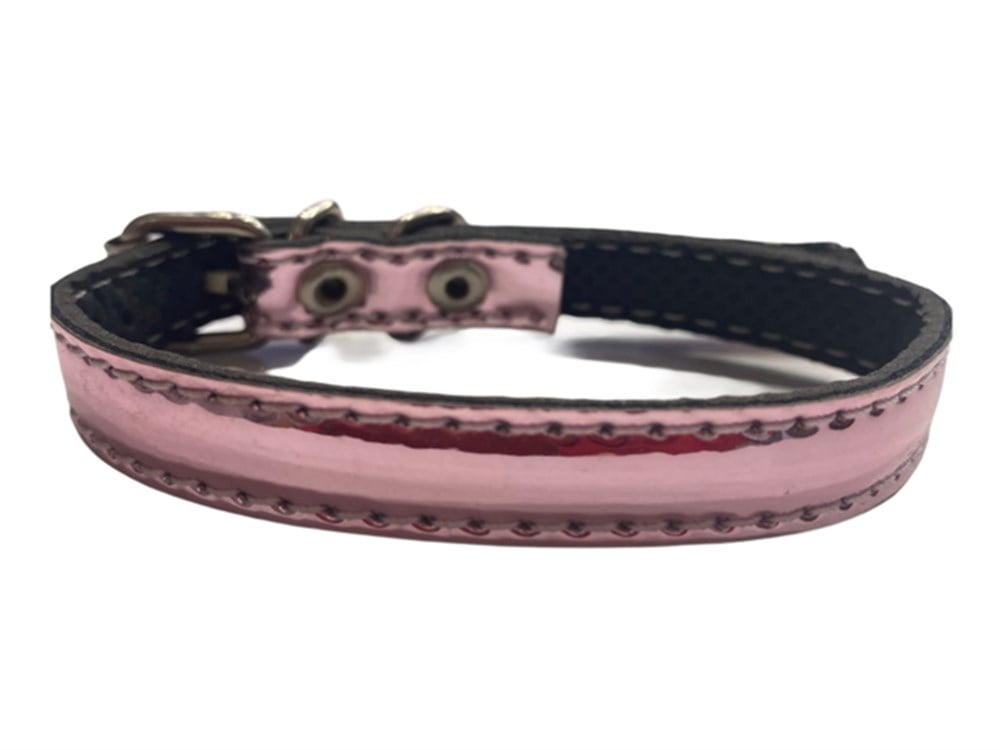 Parlak Pembe Kedi Boyun Tasması