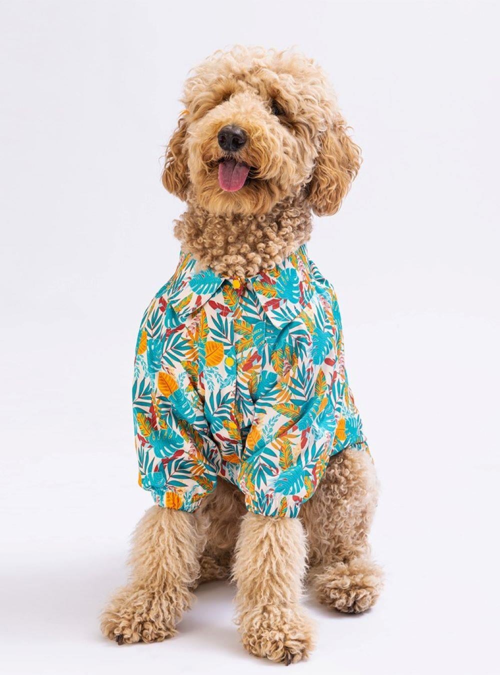 Pawstar Folia Orta-Büyük Irk Köpek Gömleği