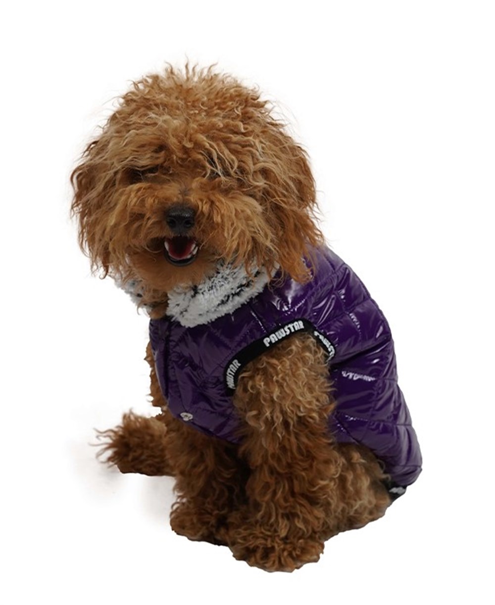 Pawstar Puff Mor Küçük Köpek Montu