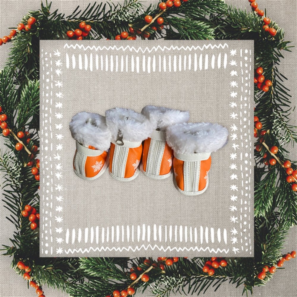 Kar Taneli, Deri Köpek Ayakkabısı 5 Beden 7 cm x 5 cm