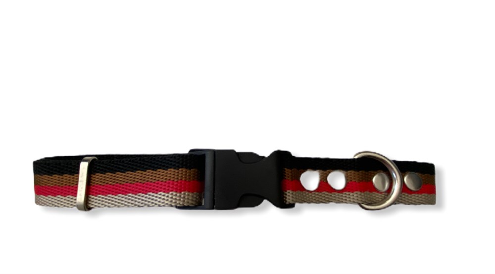 Klipsli Köpek Boyun Tasması 3 cm x 36-43 cm