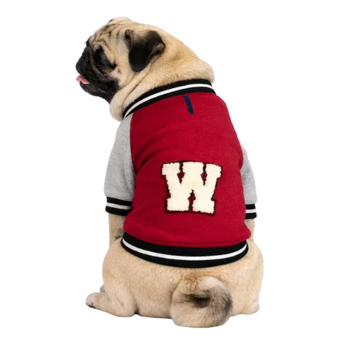 Gedyco W Polarlı Küçük Irk Köpek Kolej Sweatshirtü