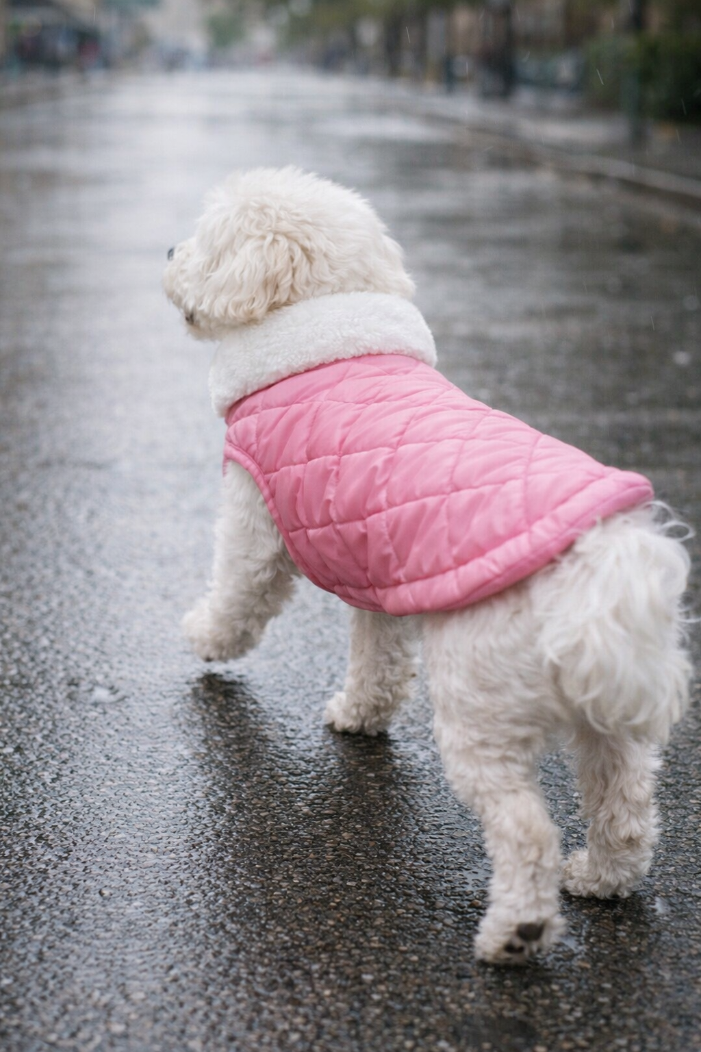 Gedyco Pink Kapitone İçi Polarlı Küçük Irk Köpek Yeleği