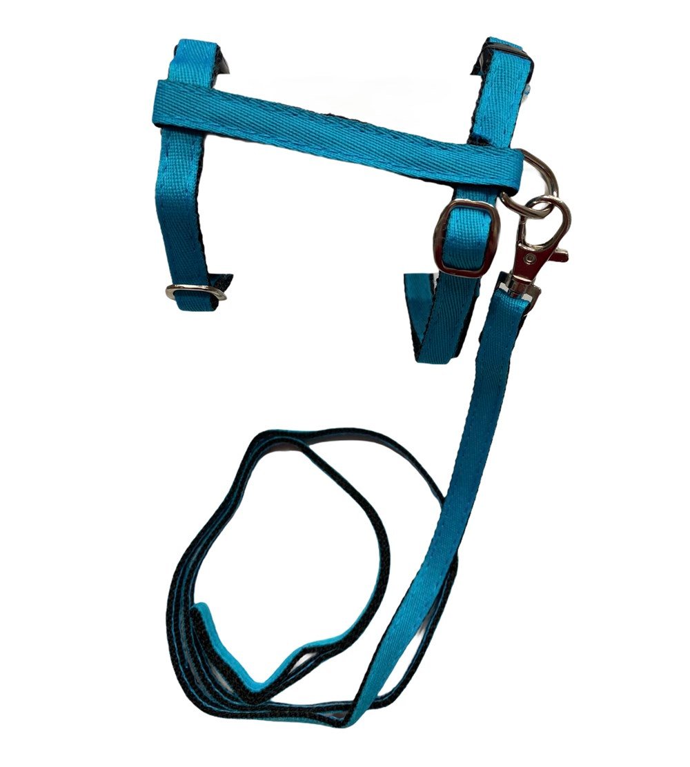 Turkuaz Kedi ve Köpek Gezdirme Kayışı ve Göğüs Tasma Seti