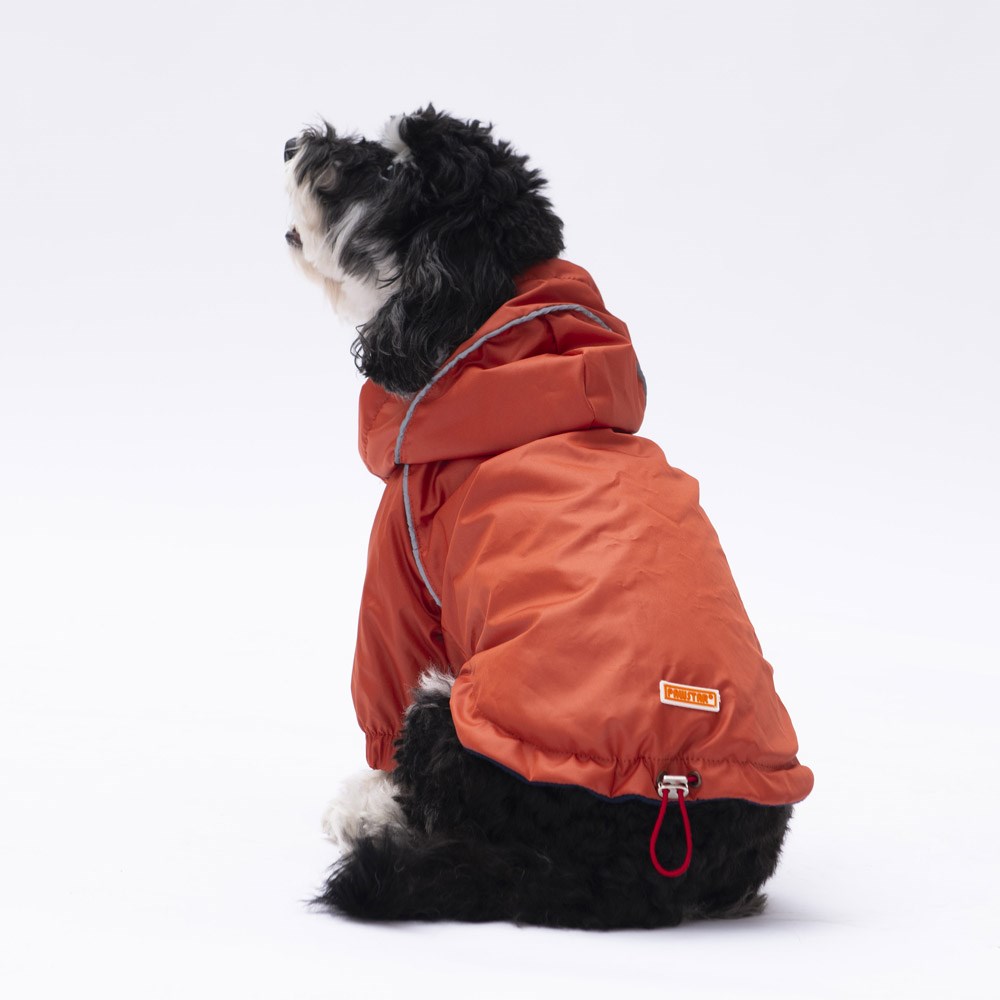 PawStar Turuncu Pluvia Küçük Irk Köpek Yağmurluk