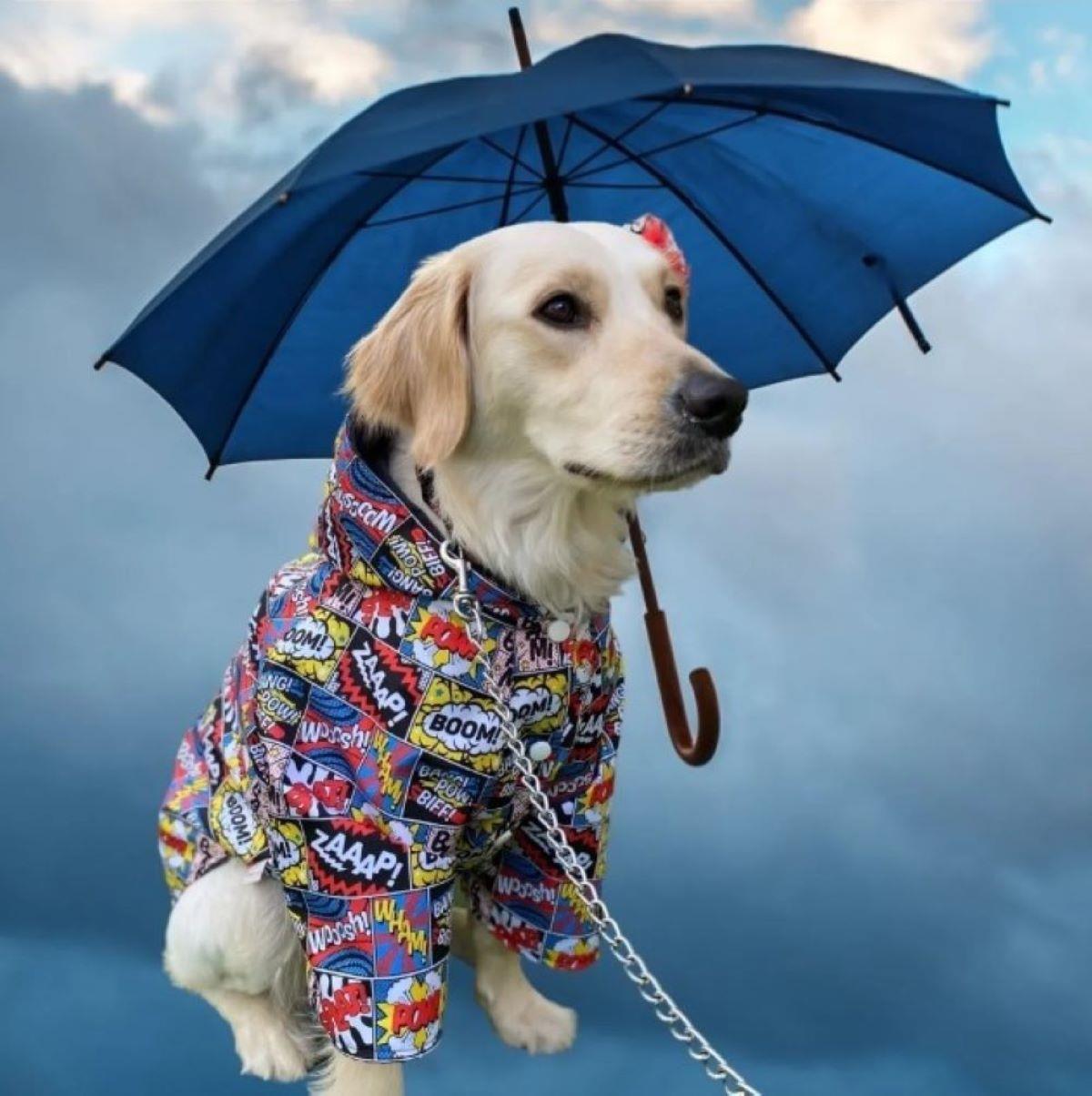 Gedyco Boom Kalın Polarlı Küçük Irk Köpek Montu (2-8 kg arası köpeklere uygundur)