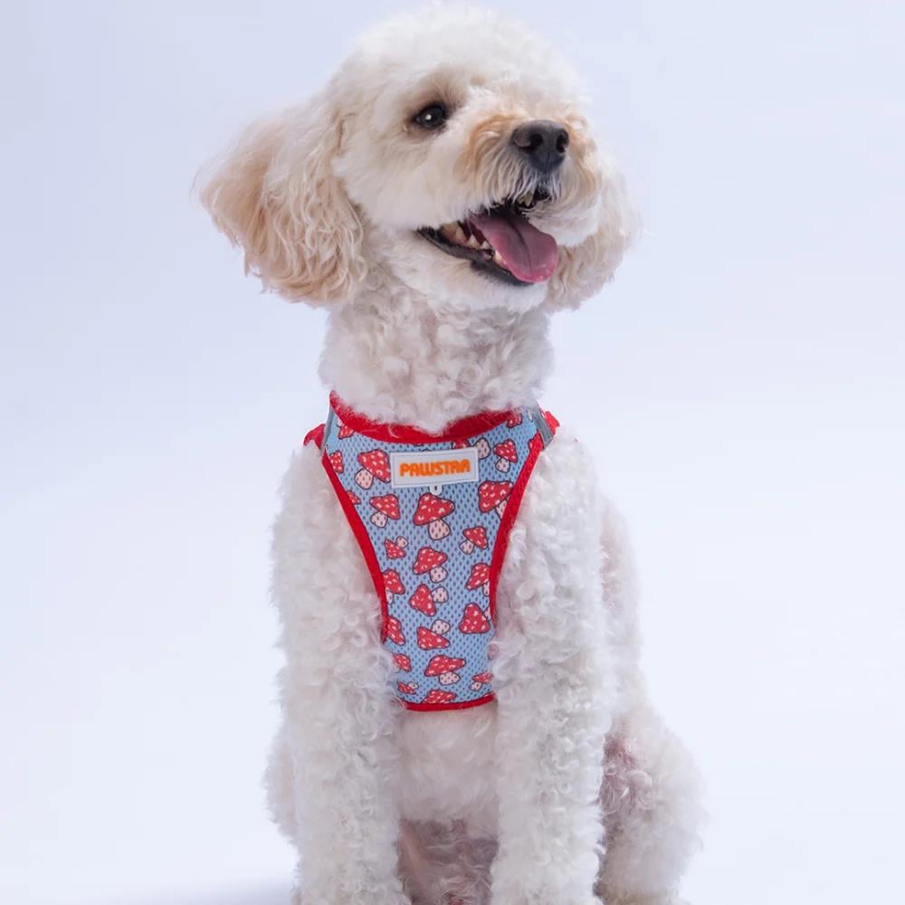 PawStar  Airmesh Mushroom Göğüs Tasması
