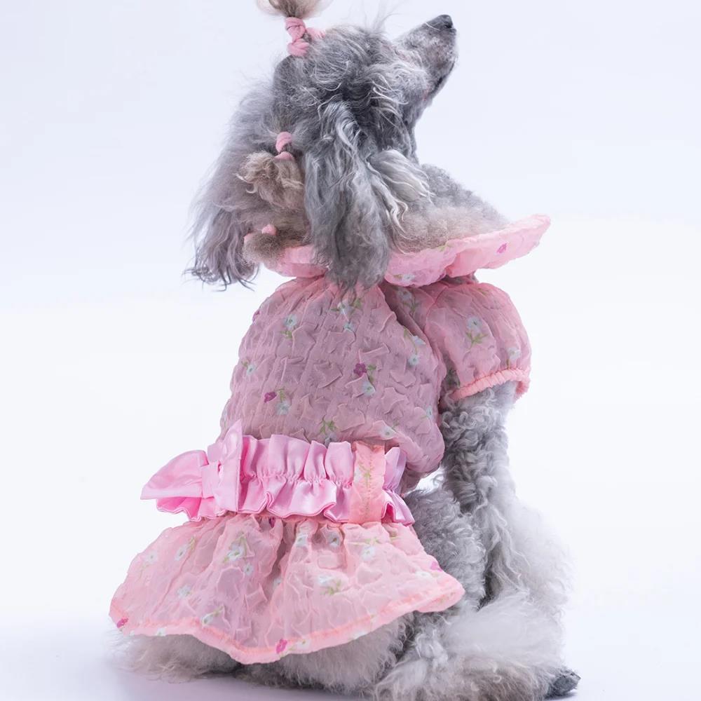 PawStar  Pembe Valencia Elbise