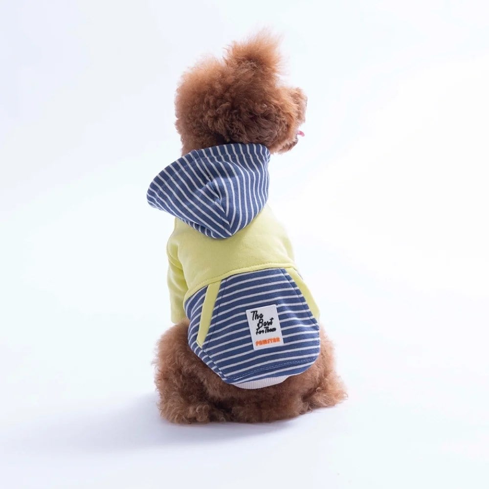 PawStar 226722 Yeşil Sera Stripe Hoodie