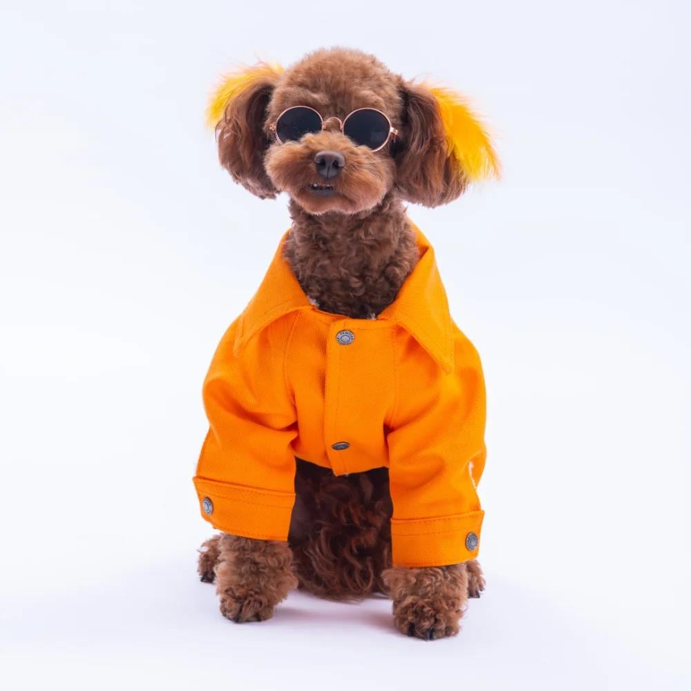 PawStar 25211-Turuncu Cancun Pop Ceket