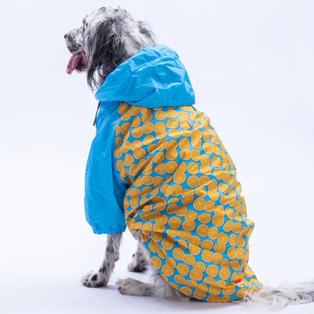 PawStar 25552 Nice Citrus Büyük Irk Yağmurluk