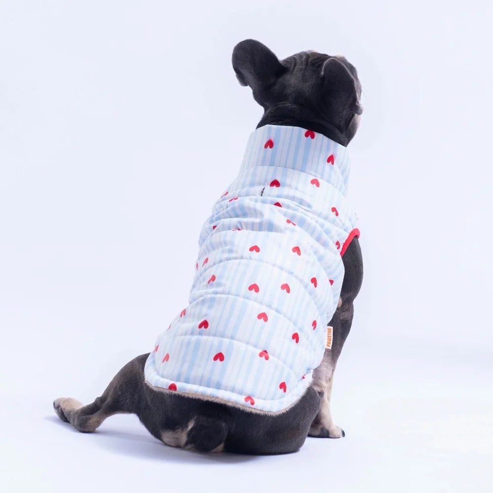 PawStar 26118 Moyo Mavi Yelek Küçük ve Orta Irk
