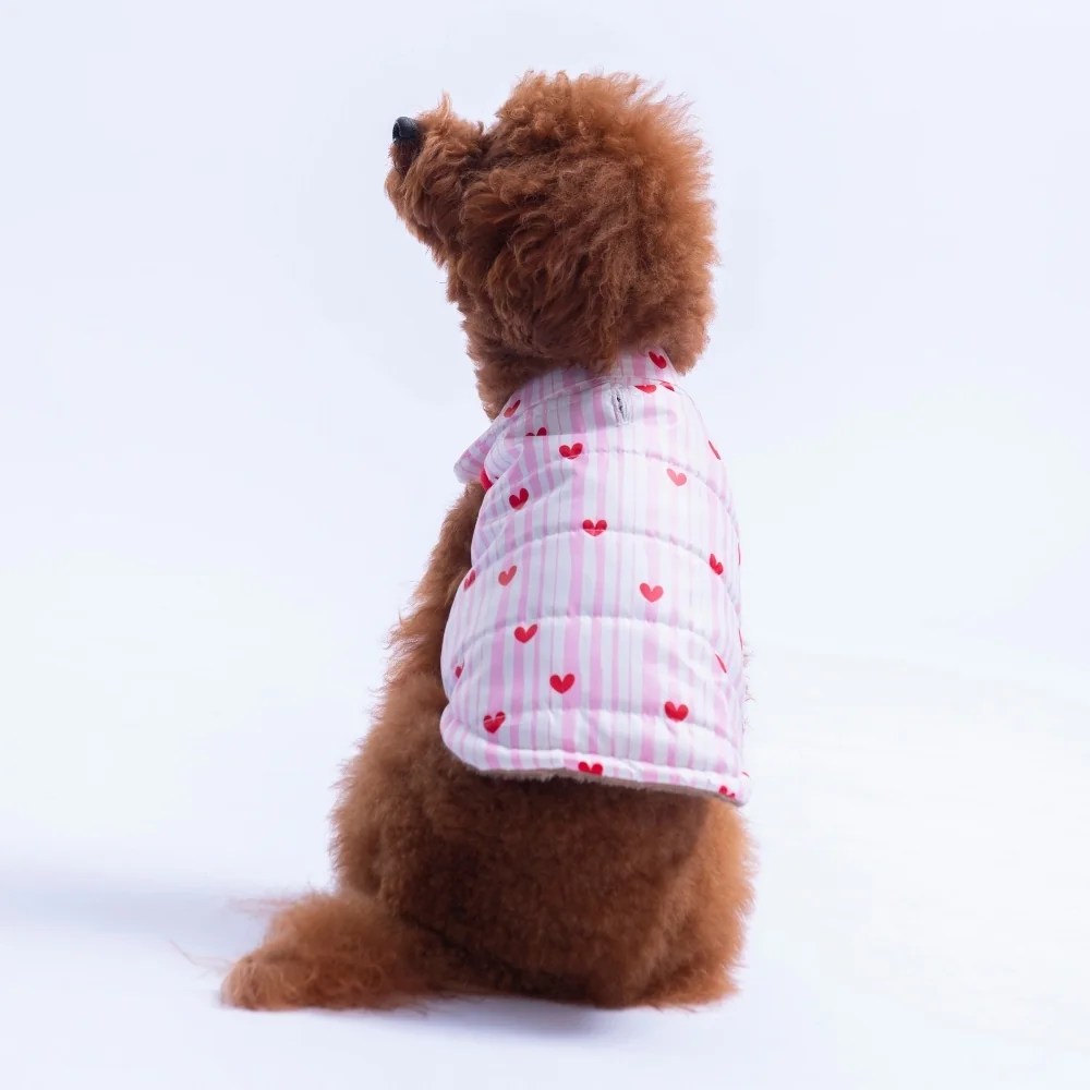 PawStar 26119 Moyo Pembe Yelek Küçük ve Orta Irk