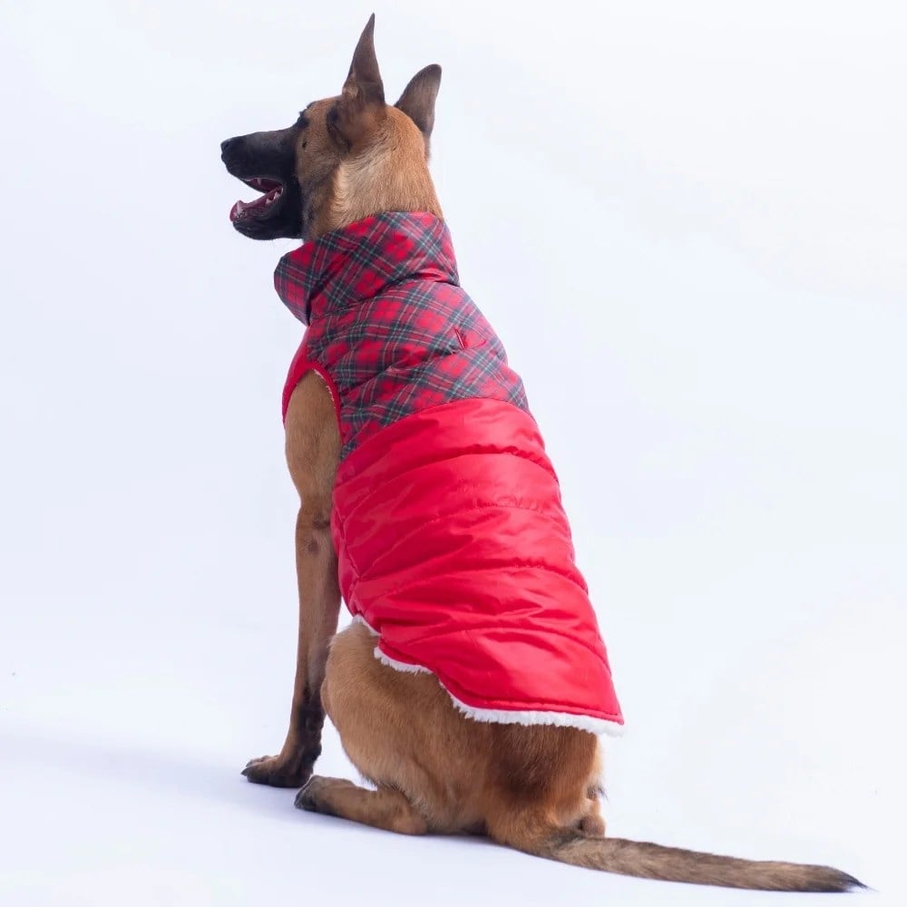 PawStar 26152 Kırmızı Plaid Büyük Irk Yelek