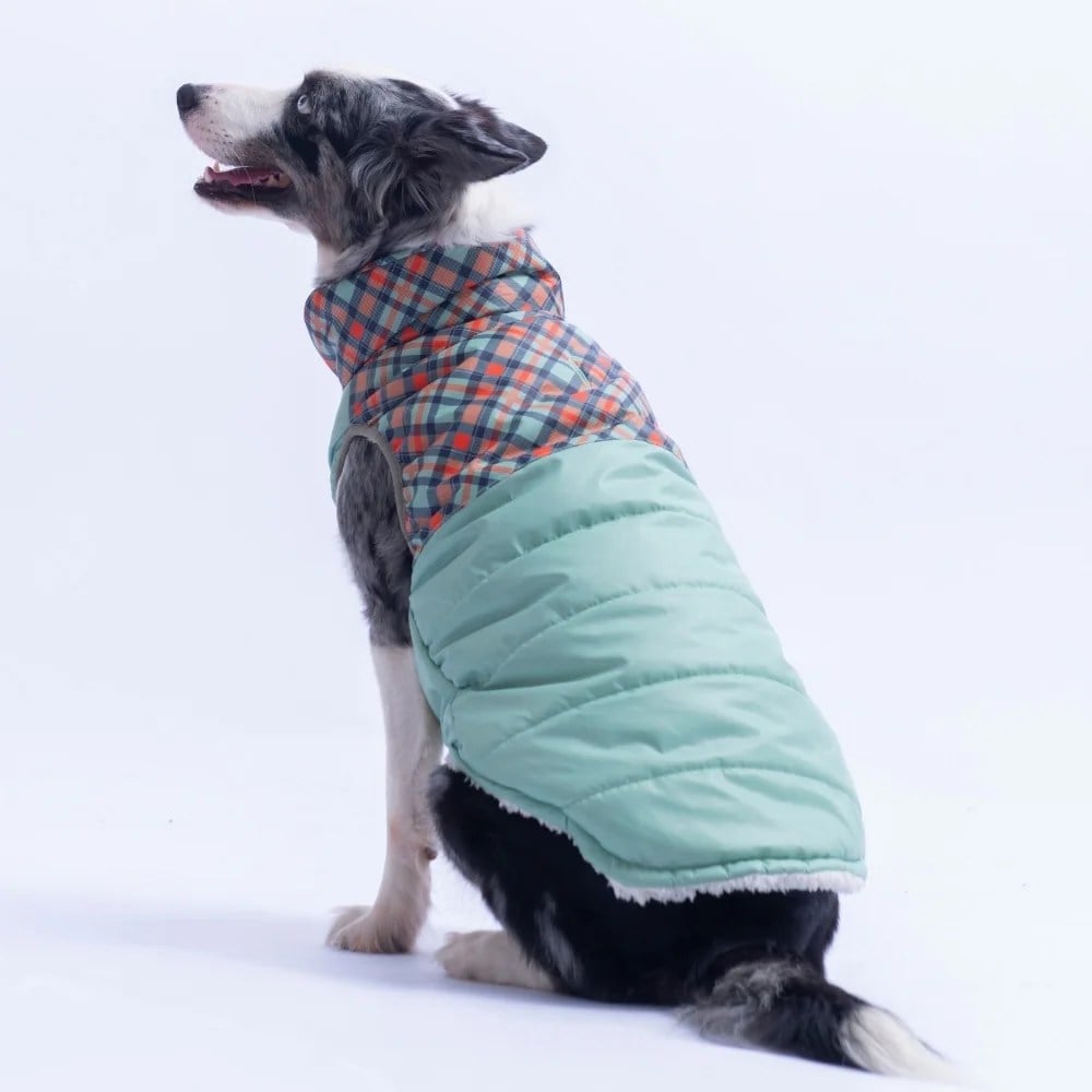 PawStar 26153 Yeşil Plaid Büyük Irk Yelek