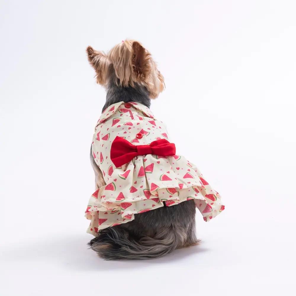 PawStar 26310 Berry Crush Elbise