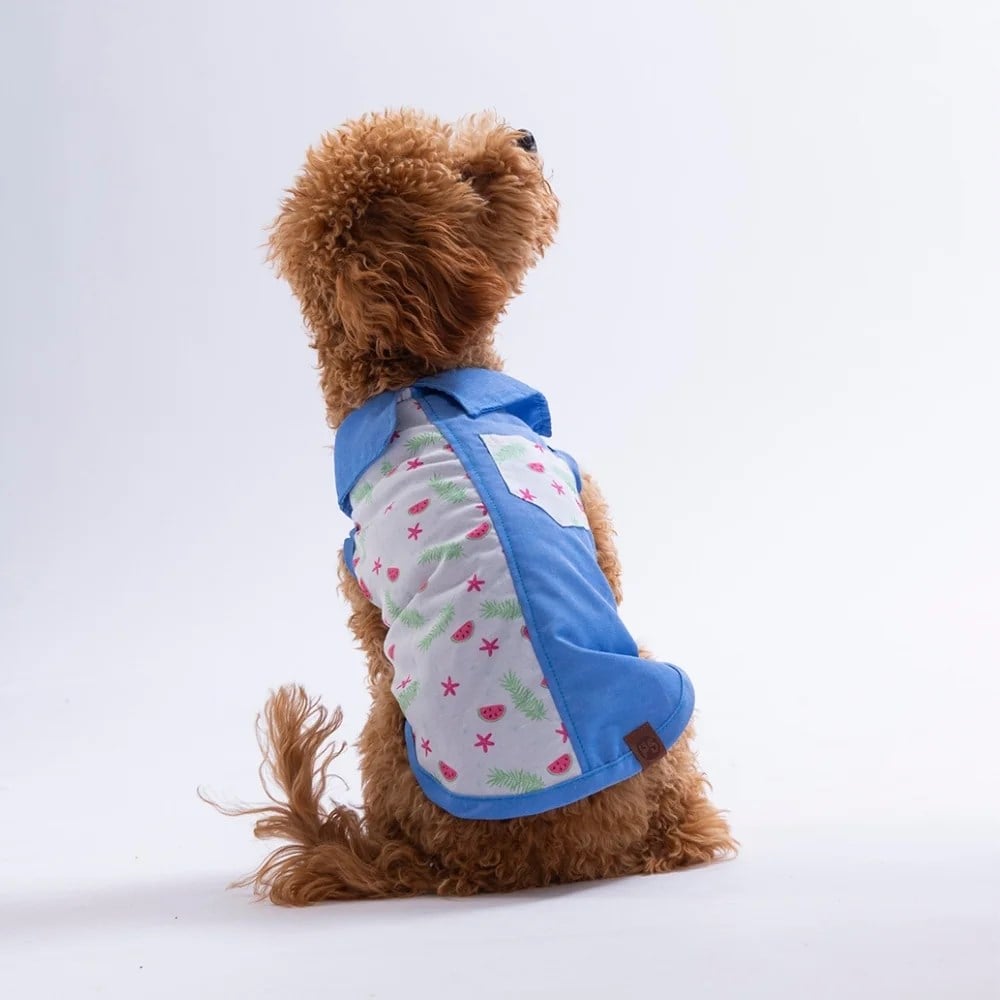 PawStar 26410 Ruby Slice Desenli Denim Gömlek