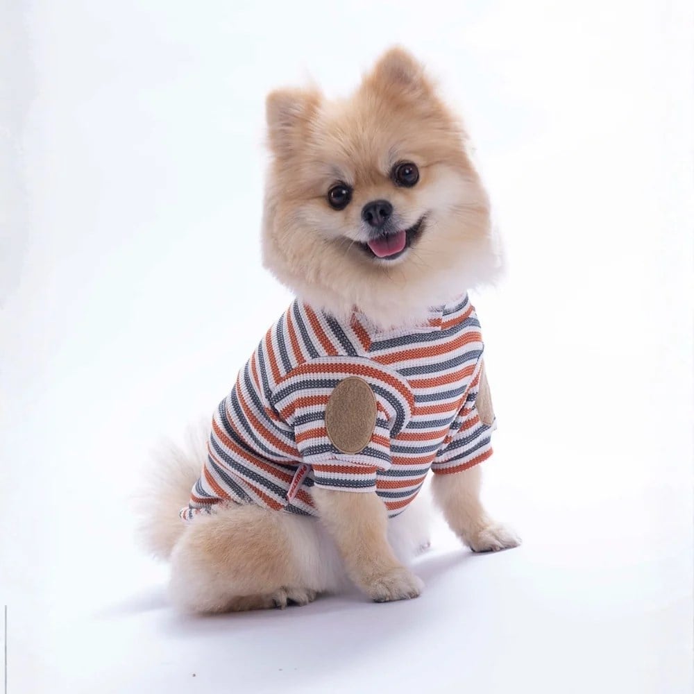 PawStar 26730 Kiremit Marseille Softline Sweat