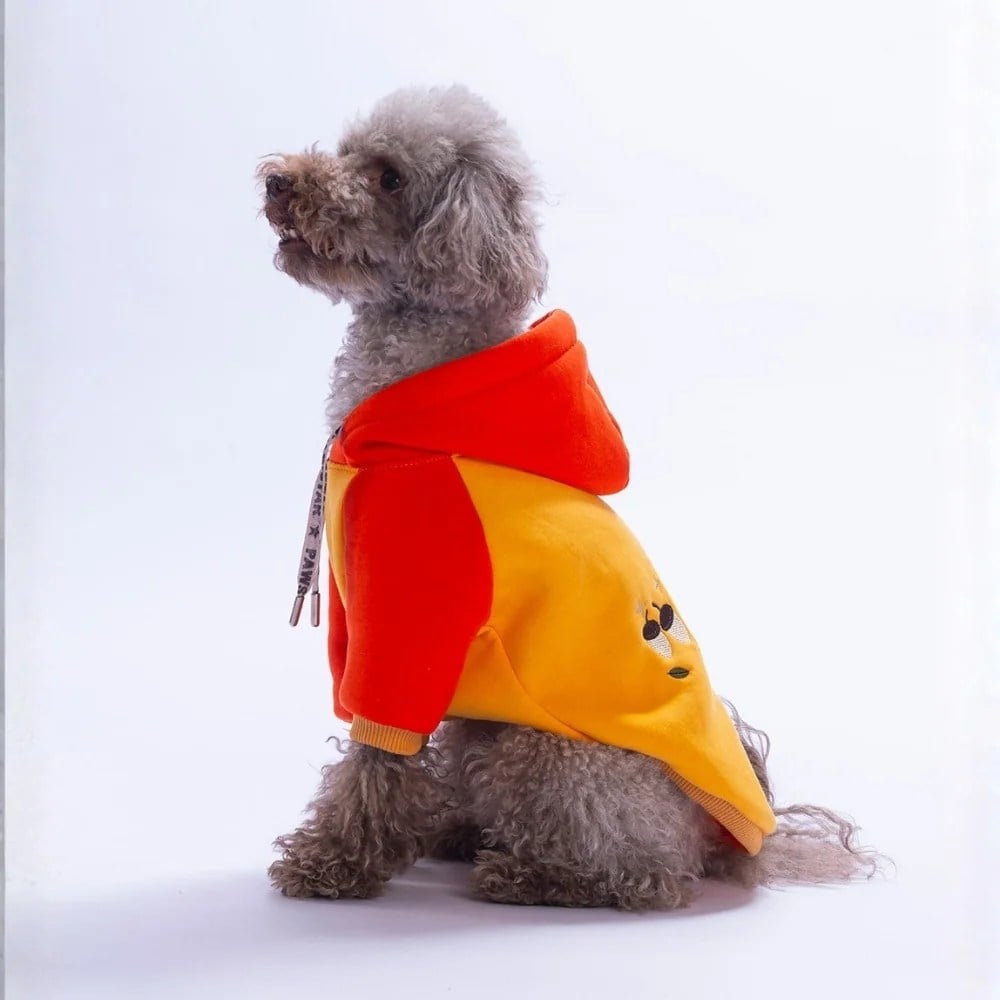 PawStar 26741 Turuncu Vermont Autumn Hoodie