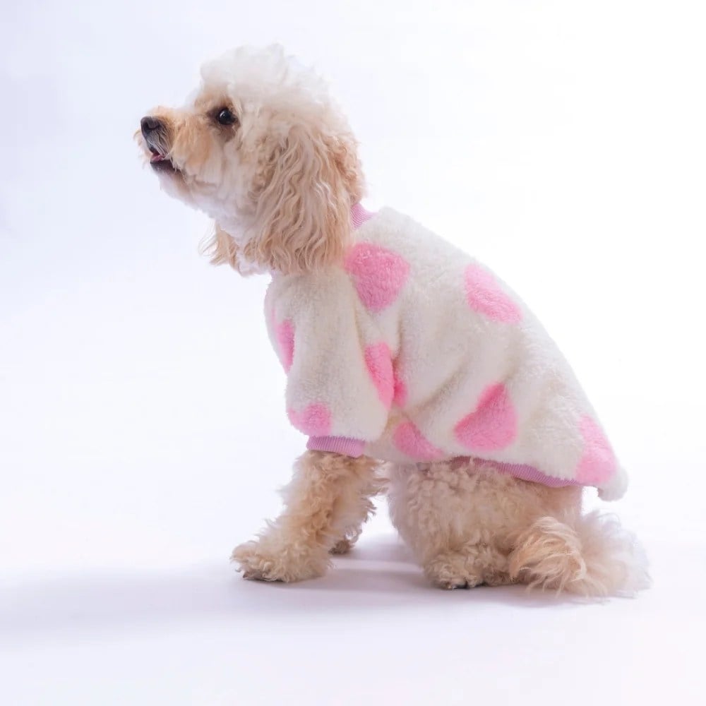 PawStar 26746 Cortina Sweet Sweat