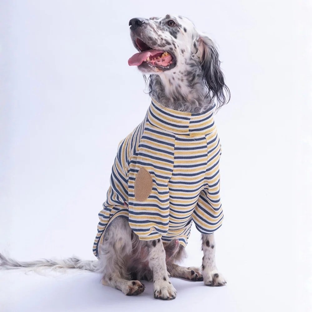 PawStar 26763 Sarı Marseille Softline Büyük Irk Sweat