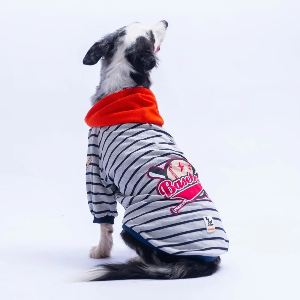 PawStar 26768 Turuncu Seattle Pitch Büyük Irk Hoodie