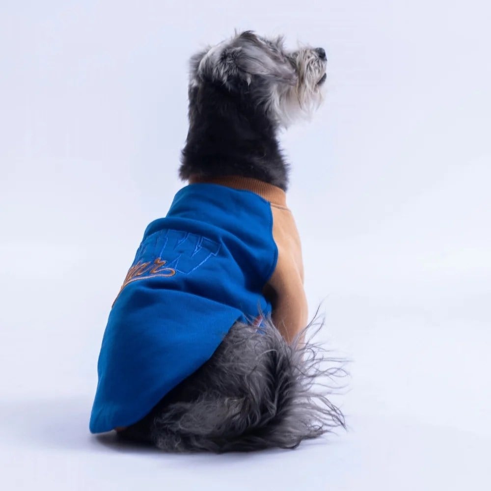 PawStar 26779 Saks Mavi Boston Pawstar Sweat
