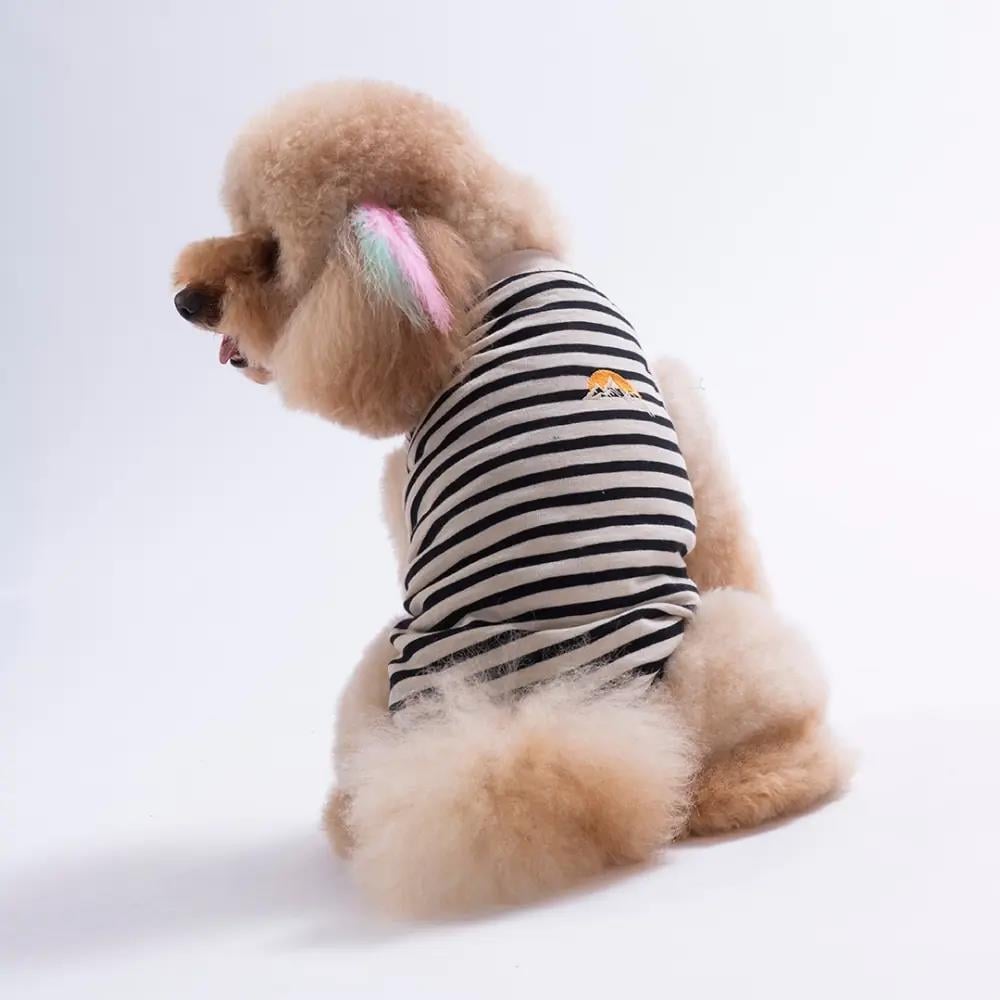 PawStar 26814 Sunrise EmbroLine Tişört