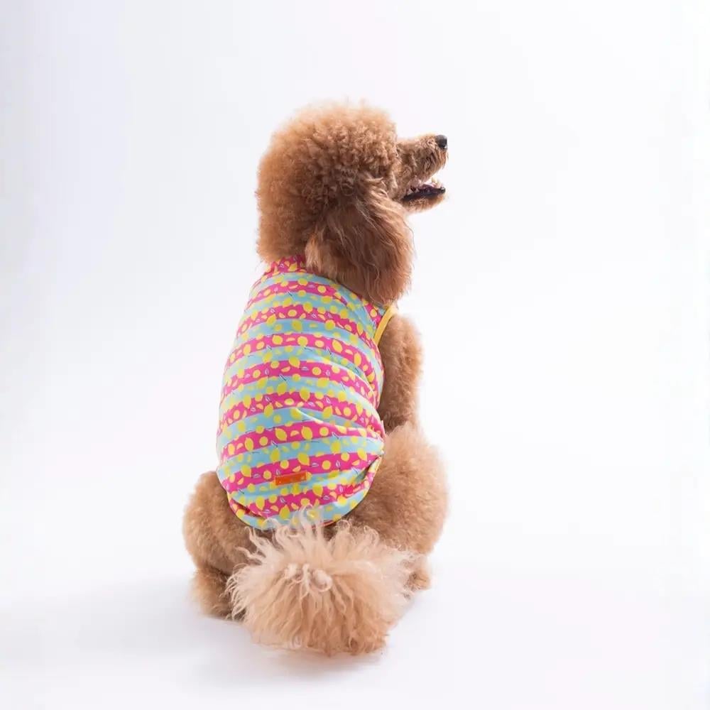 PawStar 26830 Lemon Party Tişört