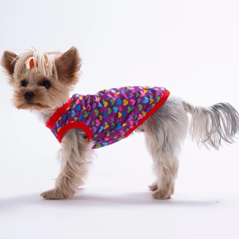 PawStar 26837 Hearts Tişört
