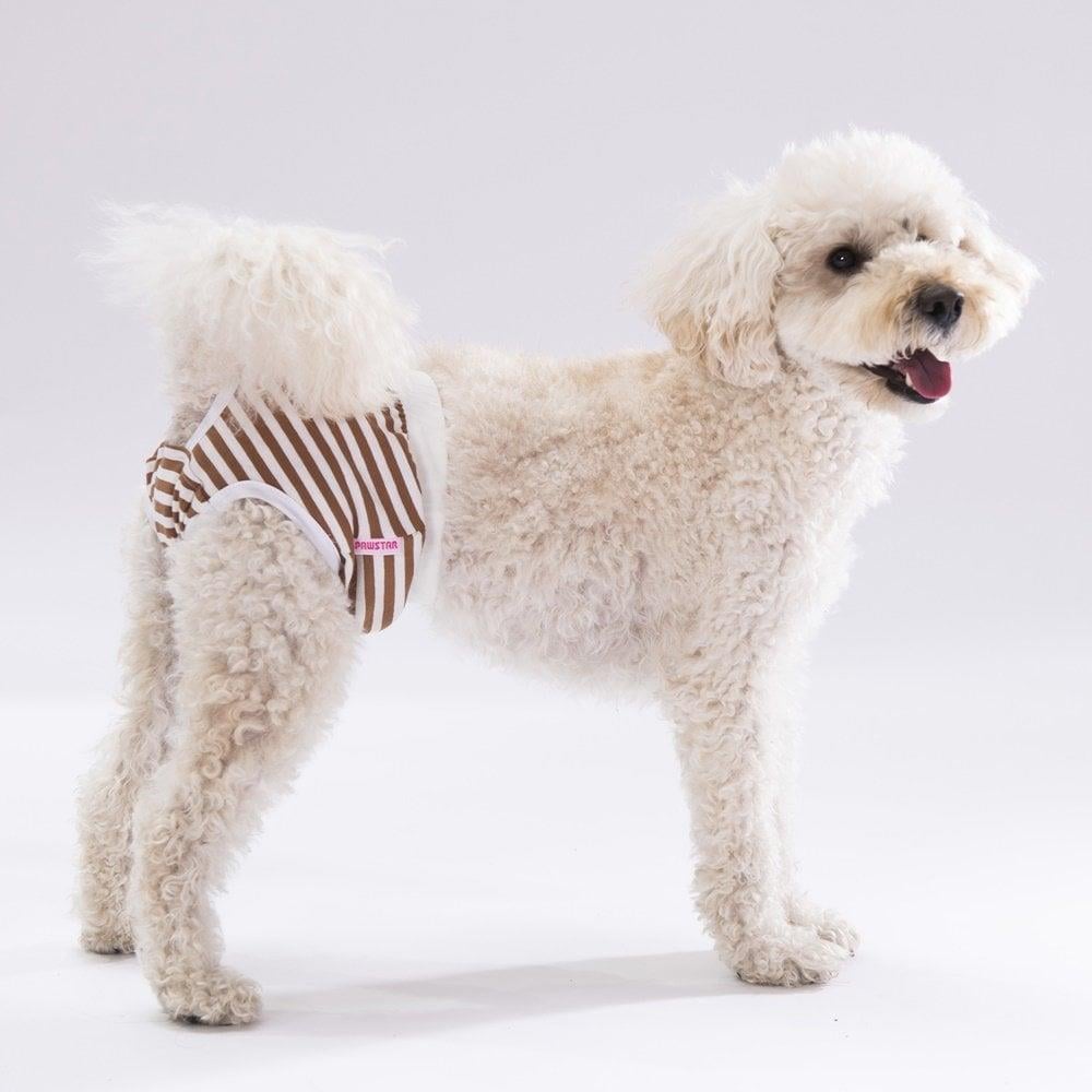 PawStar Çizgili Çamaşır (Paket de Farklı  Renkte 3 Adet Bulunur)