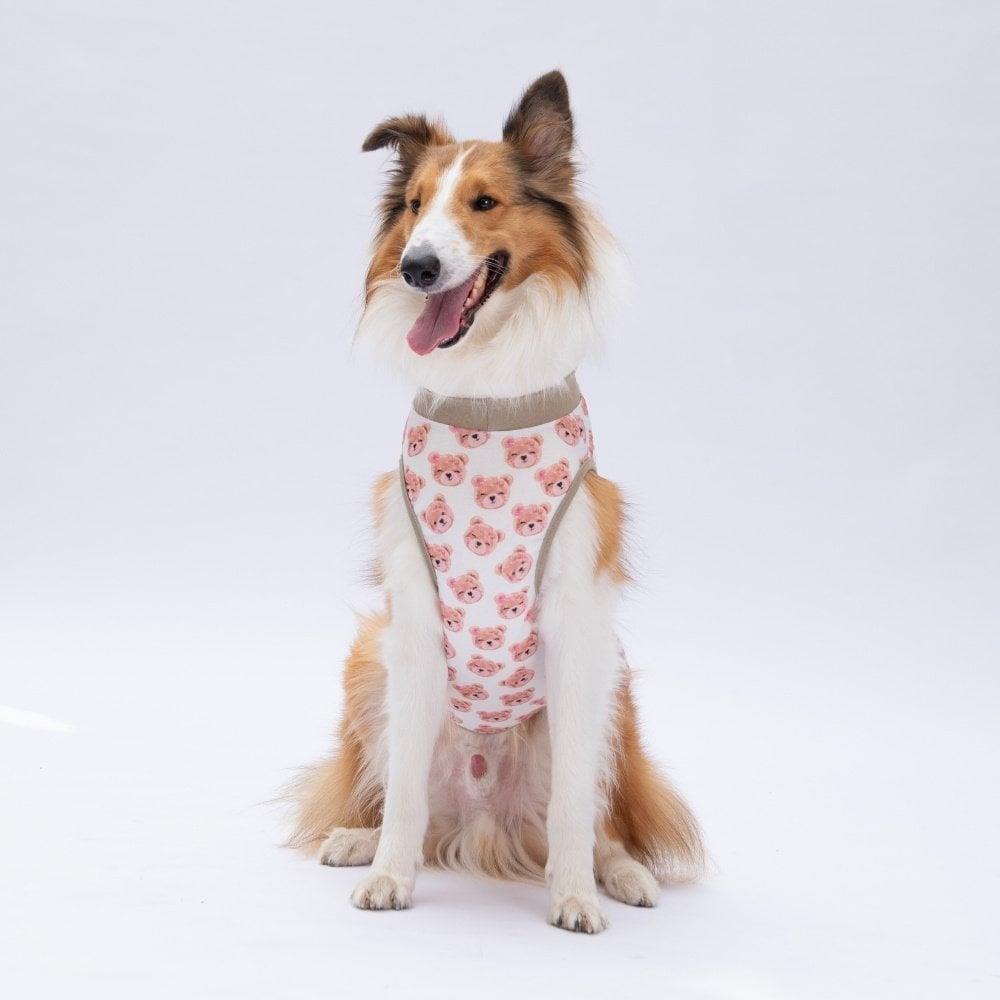 PawStar Cute Bears T-Shirt Büyük Irk