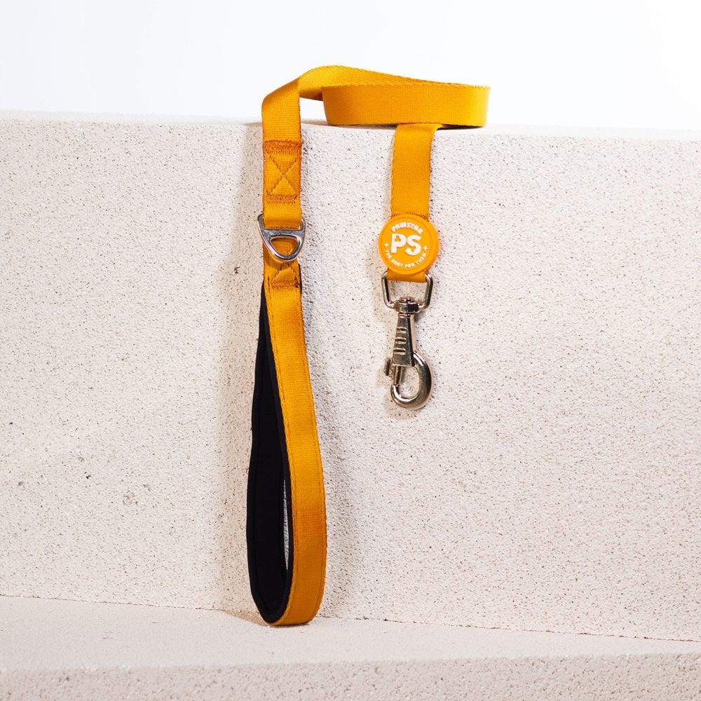 PawStar L07 Gold Sevk Kayışı